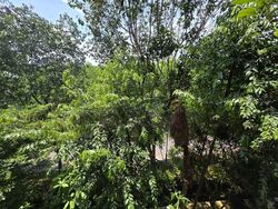 Kingsford Waterbay (D19), Apartment #539028191